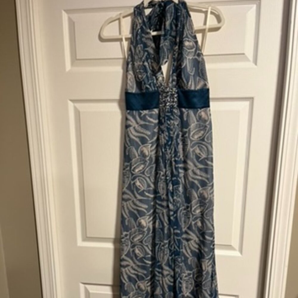 BCBGMAXAZRIA Maxi Dress Size 4